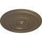 Ekena Millwork Raynor Ceiling Medallion (Fits Canopies up to 6"), Hand-Painted Warm Silver, 20 5/8"OD x 1 3/8"P CM20BEWSS - alternate 5